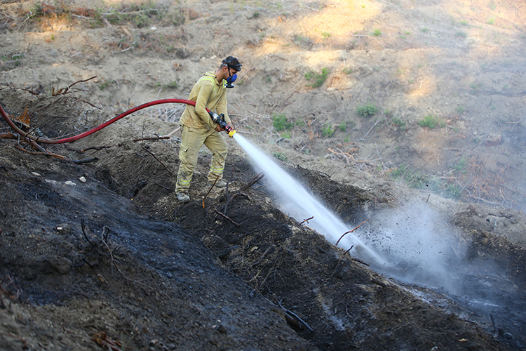 Muğla Ve Adana'daki Orman Yangınları Kontrol Altına Alındı (3)