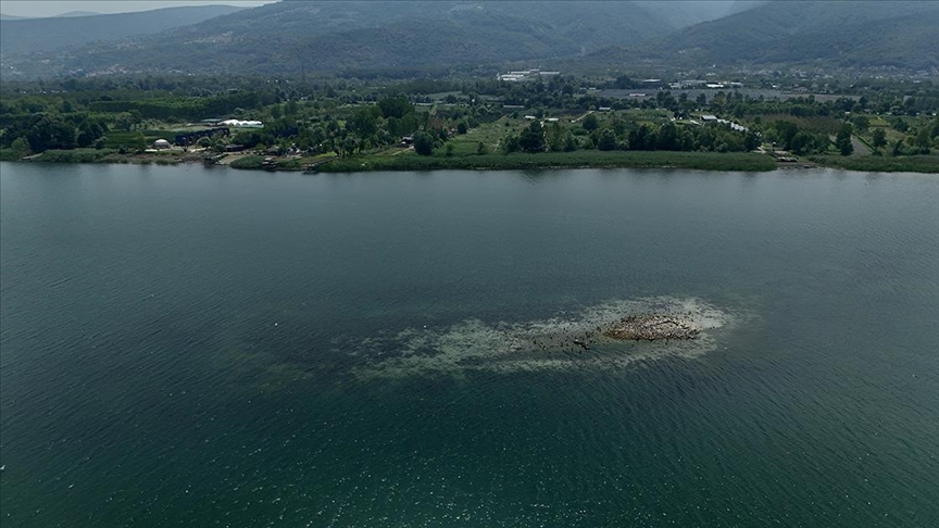 Su Miktarı Kritik Seviyenin Altına Düşen Sapanca Gölü'ndeki Kalıntılar Ortaya Çıktı 2