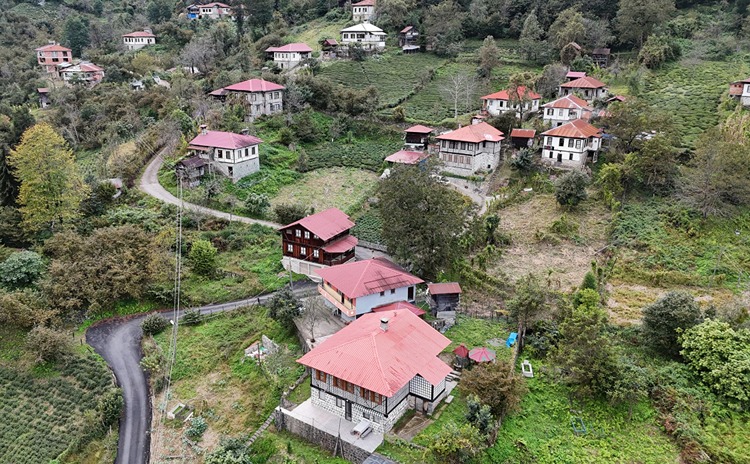 Kestane ağacından yapılan tescilli evler Arılı köyüne ziyaretçi çekiyor