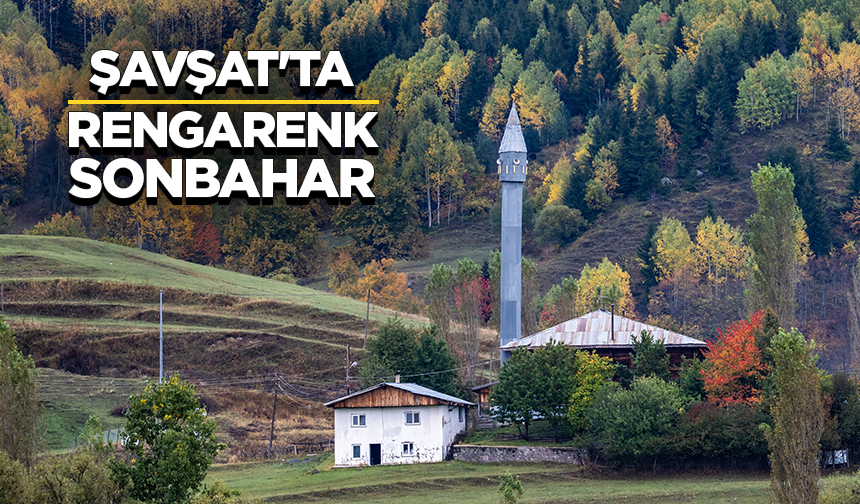"Sakin şehir" Şavşat'ta sonbahar rengarenk