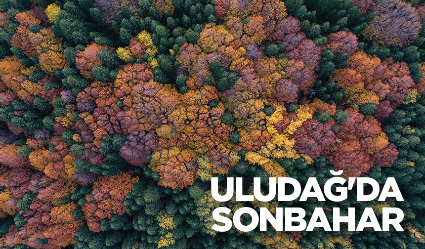 Uludağ'da sonbahar renkleri hakim oldu