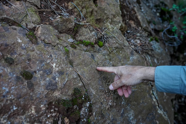 Sındırgı depremlerinin “ölü” fayların yeniden aktifleşmesiyle meydana geldiği belirlendi