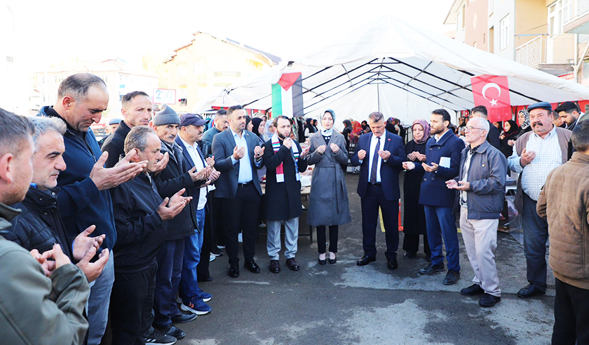 Sulusaray 11