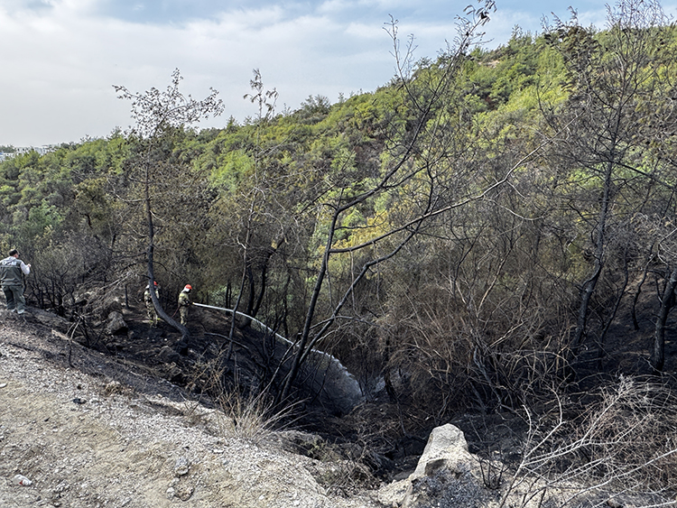 Adana’da çıkan orman yangını söndürüldü