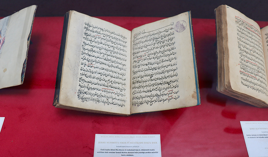 Balkanlar Bursevi 11