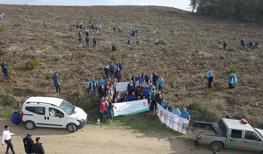 Bursa Şehitler Ormanı 22