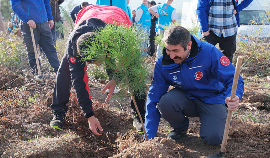 Bursa Şehitler Ormanı 55