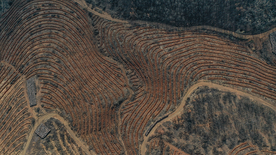 Bursa’da 3 milyon 250 bin fidan toprakla buluşacak