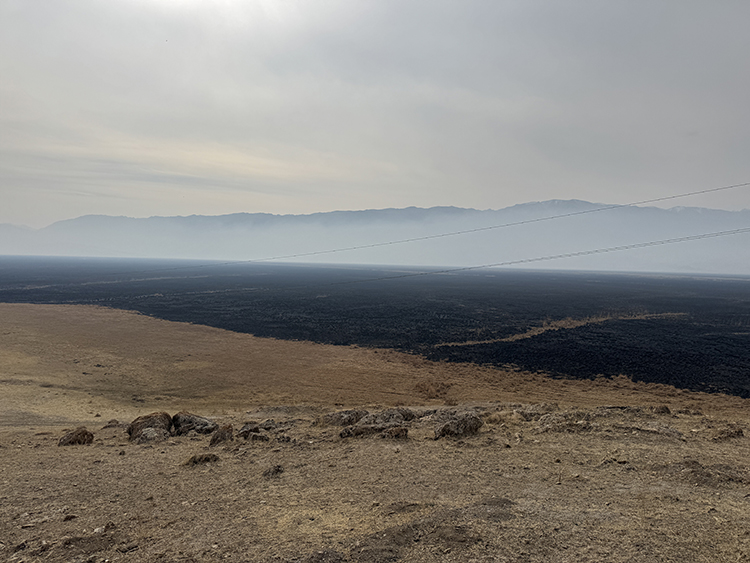 Hakkari’deki Nehil Sazlığı’nda 7 Kasım’da çıkan yangın söndürüldü