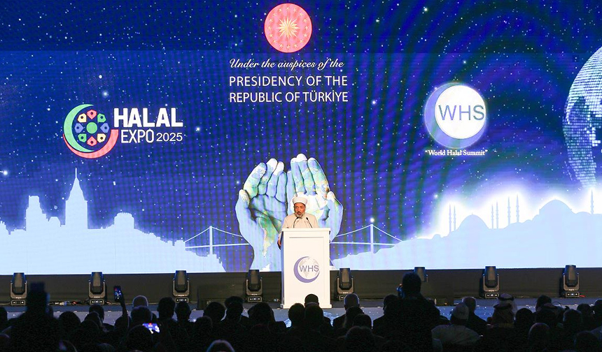 Helal Safi Arpaguş 11