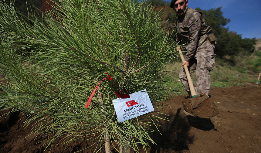 A Y D I N Ş E H İ T F İ D A N 11