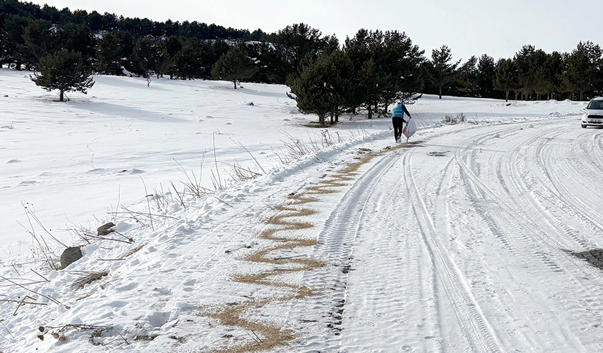 Din görevlileri, yaban hayvanları için doğaya yiyecek bıraktı