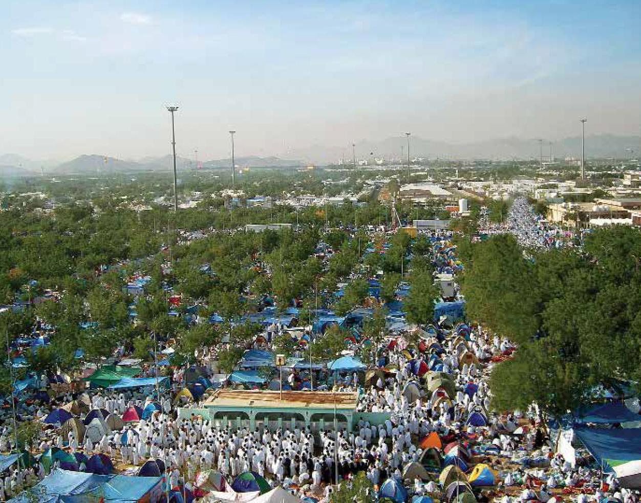 Veda Haccı (10/632)