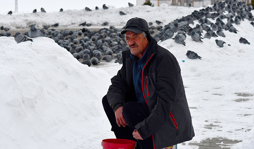 Yaban kuşlarına “sofra” kurmak için her sabah kar kürüyor