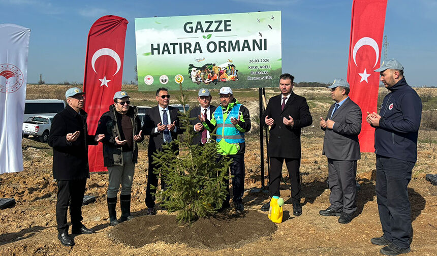 Gazze Ormanı 11