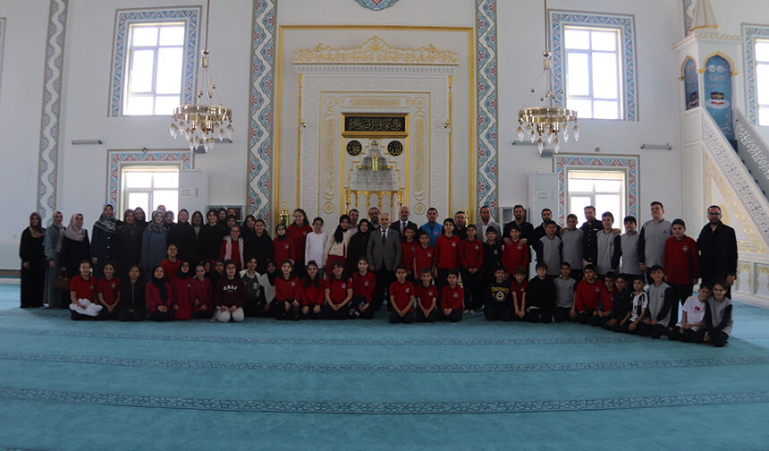 Çankırı Çedes 33