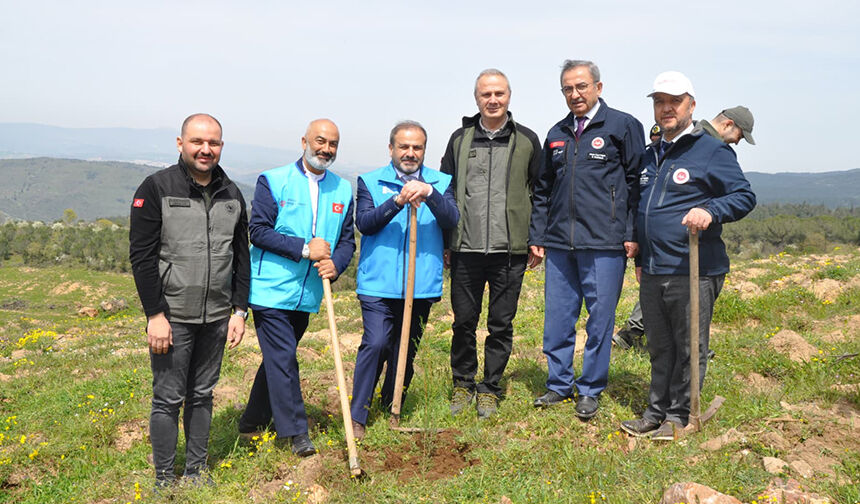 Tdv Balıkesir Orman 22