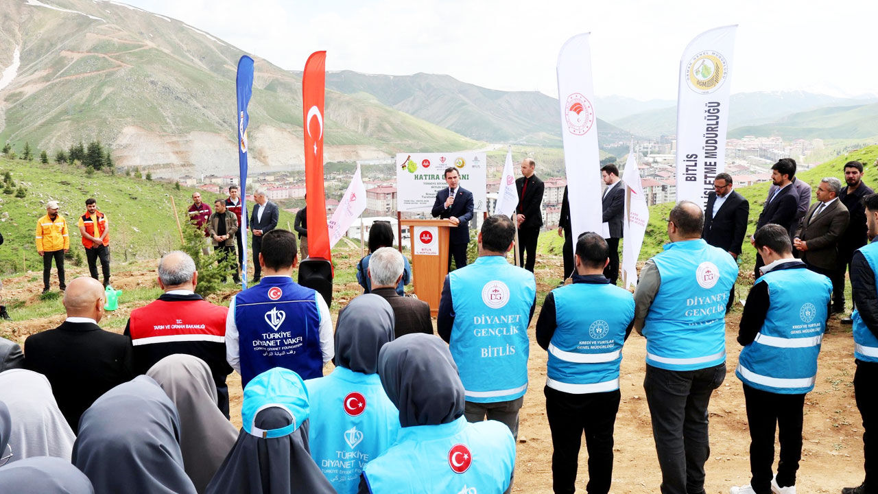 Bitlis Fidan 11