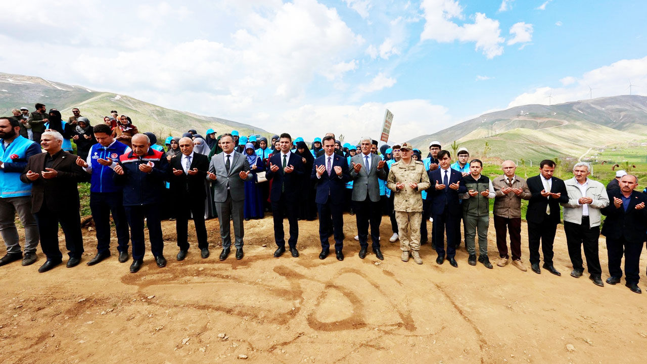 Bitlis Fidan 22