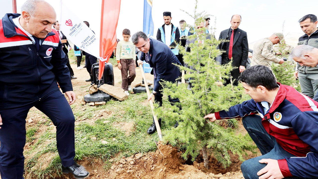 Bitlis Fidan 33