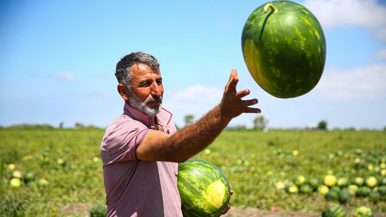 Adana Karpuz 22