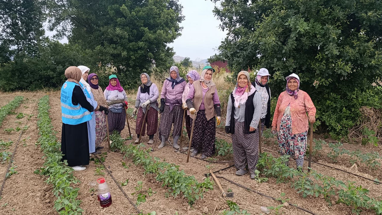 Sındırgı Tarla Ziyareti 22