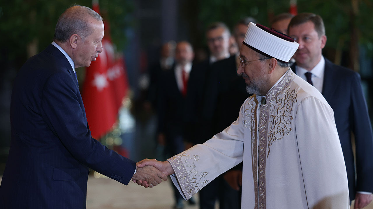 Erdoğan Safi Arpaguş 1