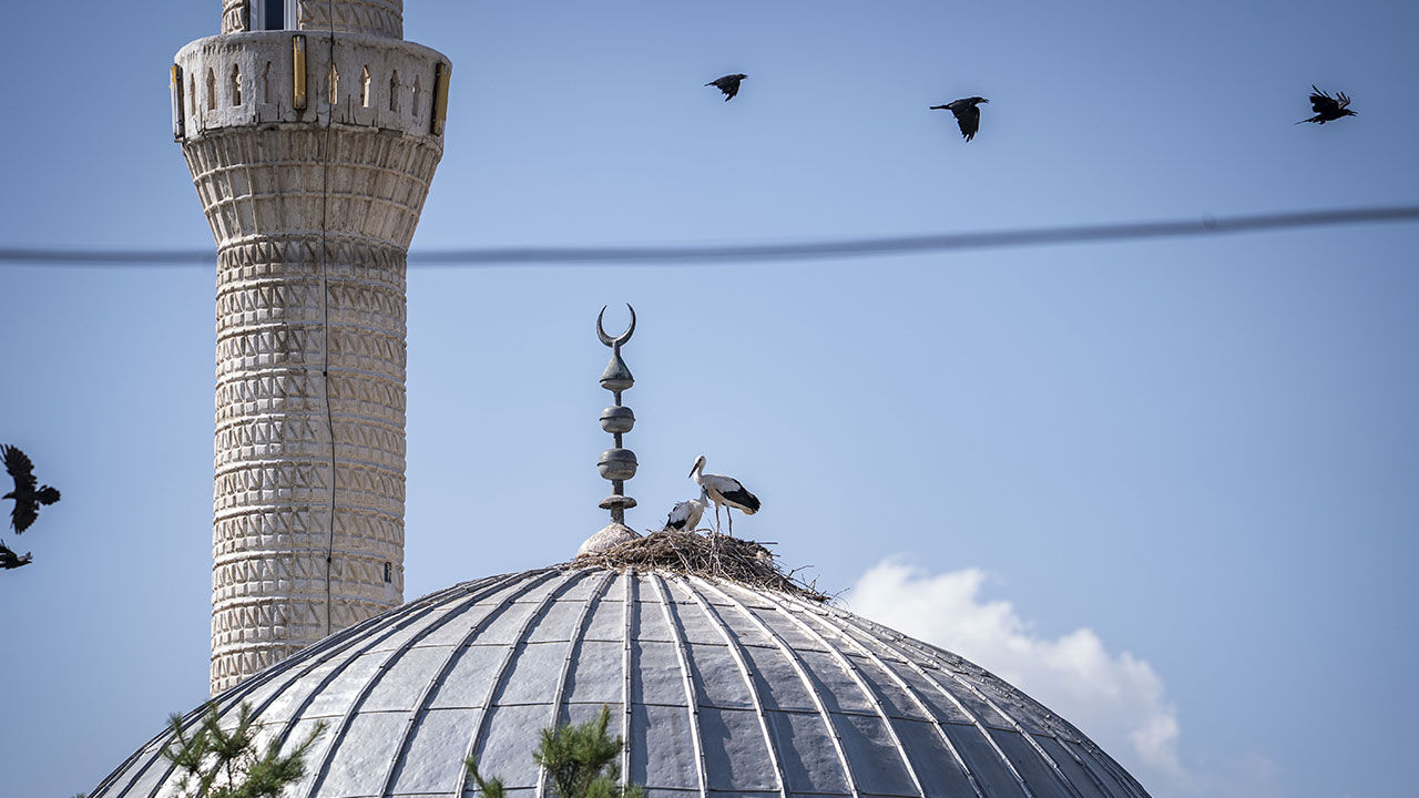Leylek Cami 2