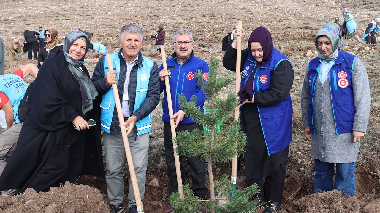 Ditib Hatıra Ormanı 1