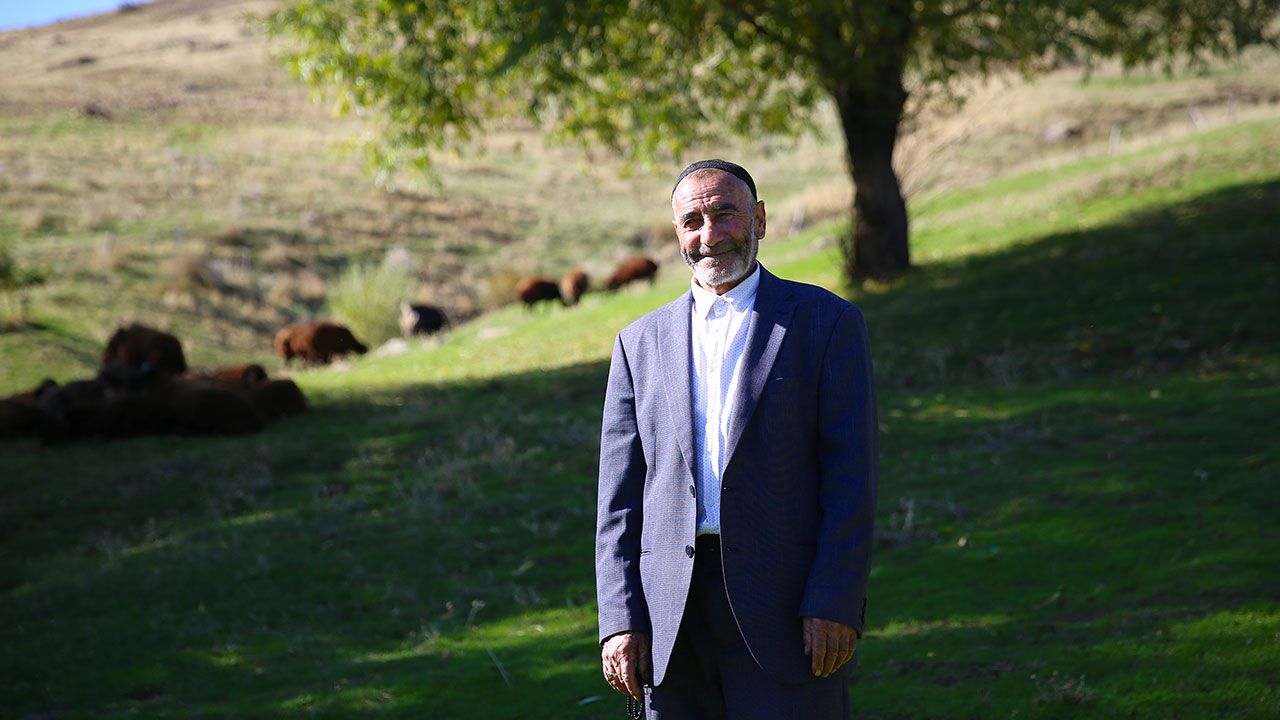 Fenomen Çoban 2
