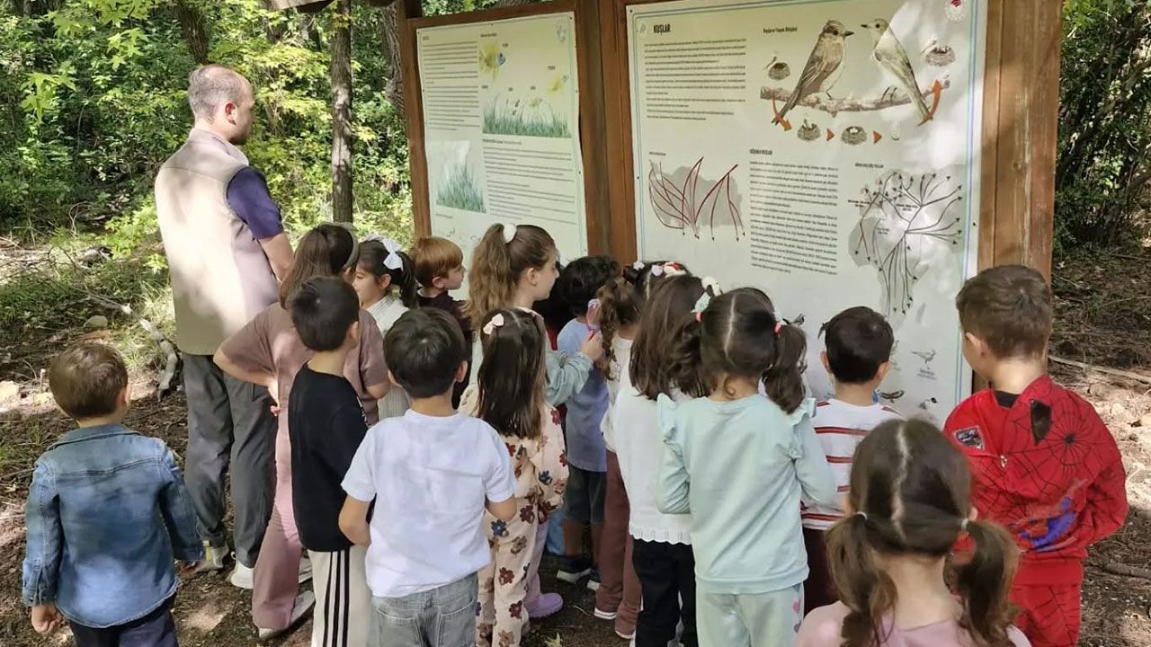 Muğla Marmariste Doğa Ve Sonbahar Etkinliği 3