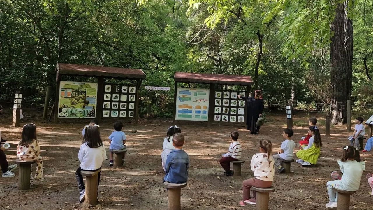 Muğla Marmariste Doğa Ve Sonbahar Etkinliği 4