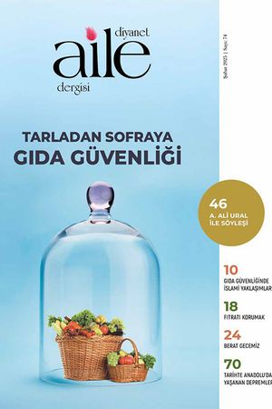 Şubat 2025