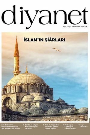 Şubat 2025